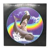 Paul Winter - Common Ground - LP - VG+