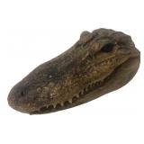 Taxidermy Alligator Head, 6'