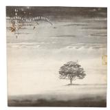Genesis - Wind & Wuthering - Vinyl Record - VG+