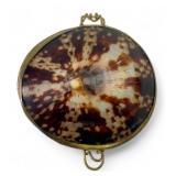 Victorian Style Brass-Mounted Cowrie Shell Snuff B