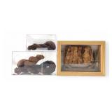 Vintage Hand-Twisted Tobacco and Cured Leaf Displa