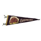 VTG Sleeping Bear Felt Pennant