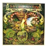 Spyro Gyra - Morning Dance - LP - VG+