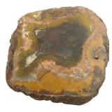Rare Kentucky Agate Polished Slab
