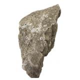 Unpolished Petoskey Stone, 7' Long