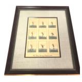 David Nichols Golf Swing Progression Print