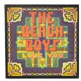 The Beach Boys - Love You - LP - VG+