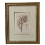 Framed Botanical Fennel Print 11.5x9.5