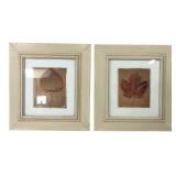 Pair of Framed Botanical Leaf Prints