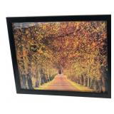 Trends International 3D Lenticular Seasons Print