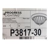 Progress Lighting P3817-30 Ceiling Light