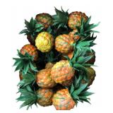 Box Lot of Plastic Decorative Pineapples 6"H
