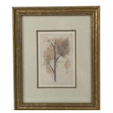 Framed Botanical Fennel Print 11.5x9.5