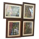 Four Framed Landscape & Garden Foil Prints 11x9"