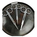 Set of 4 Metal Safety Grooming Scissors Korea