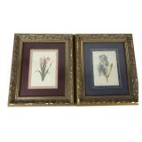 Pair Framed Botanical Floral Prints