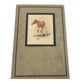 1945 John Steinbeck The Red Pony Illustrated Ed