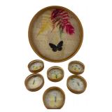 Woven Bamboo Real Butterfly Tray & Coasters