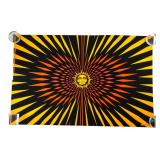 Joanne Koblin Artko Studios Hypnotic Sun Poster