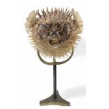 Taxidermied Porcupine Pufferfish on Brass Stand