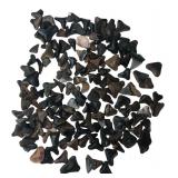 Lot of 130+ Small Fossil Shark Teeth Under 1"