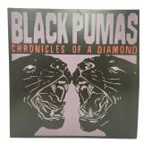 Black Pumas - Chronicles of a Diamond - LP - VG+