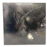 Cocteau Twins - The Pink Opaque - LP - VG+
