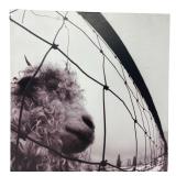 Pearl Jam - Vs. - LP - VG+