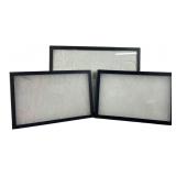 3 Riker Specimen Mounts 8.5x12 & 12x16"