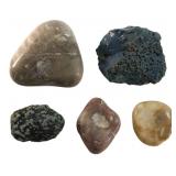 Mixed Lot of 5 Specimen Stones incl Fossil Coral