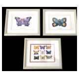 Anne Geddes Framed Butterfly Prints Set of 3