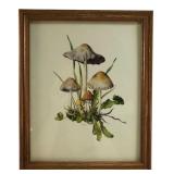 Kronen-Verlag Framed Mushroom Botanical Print