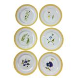 Williams-Sonoma Summer Studies Plates Set of 6
