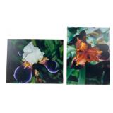 Canvas Arts Pair of Iris Canvas Prints