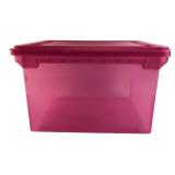 Pink Plastic Storage Bin with Lid