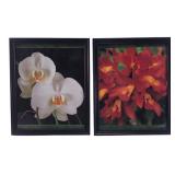 Pair of Framed Orchid Botanical Prints 11x9