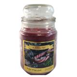 Holiday Style Twisted Peppermint Candle 18oz