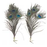 Pair of Peacock Feather Hair Clips