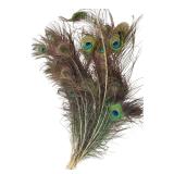 Bundle of Peacock Feather Plumes Approx 40" L