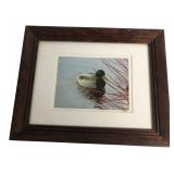 P R Welser Framed Mallard Duck Print