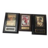 Gordon, Coffey, Earnhardt Card Plaques