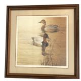 Thomas Quinn Signed Duck Print 501/950 31x31"