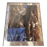 Brent Allen Wild Eyes Gray Wolf Print 16x20