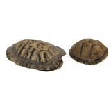 Pair of Natural Turtle Shells 8x7 and 5x5