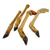 Four Dried Deer Legs with Hooves