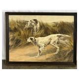 Hunting Dogs Picture-8144
