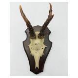 Mounted Deer Antlers Plaque-8952