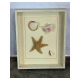 Framed Starfish and Shell Art-2596