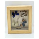 Framed Butterfly Display-9877