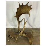 Antler Ornament-10020